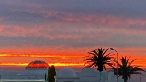 Underafricanskys, Humewood